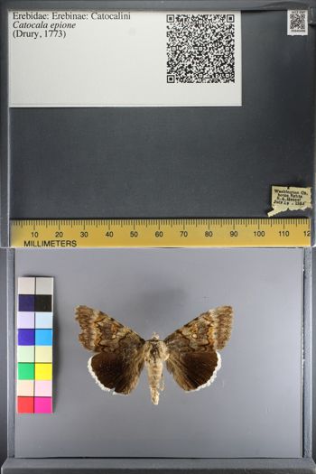 Media type: image;   Entomology 640496